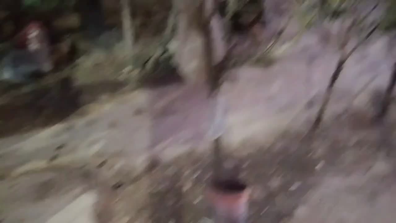 سگ گرگی نگهبان|سگ|نیشابور, دارایی|دیوار