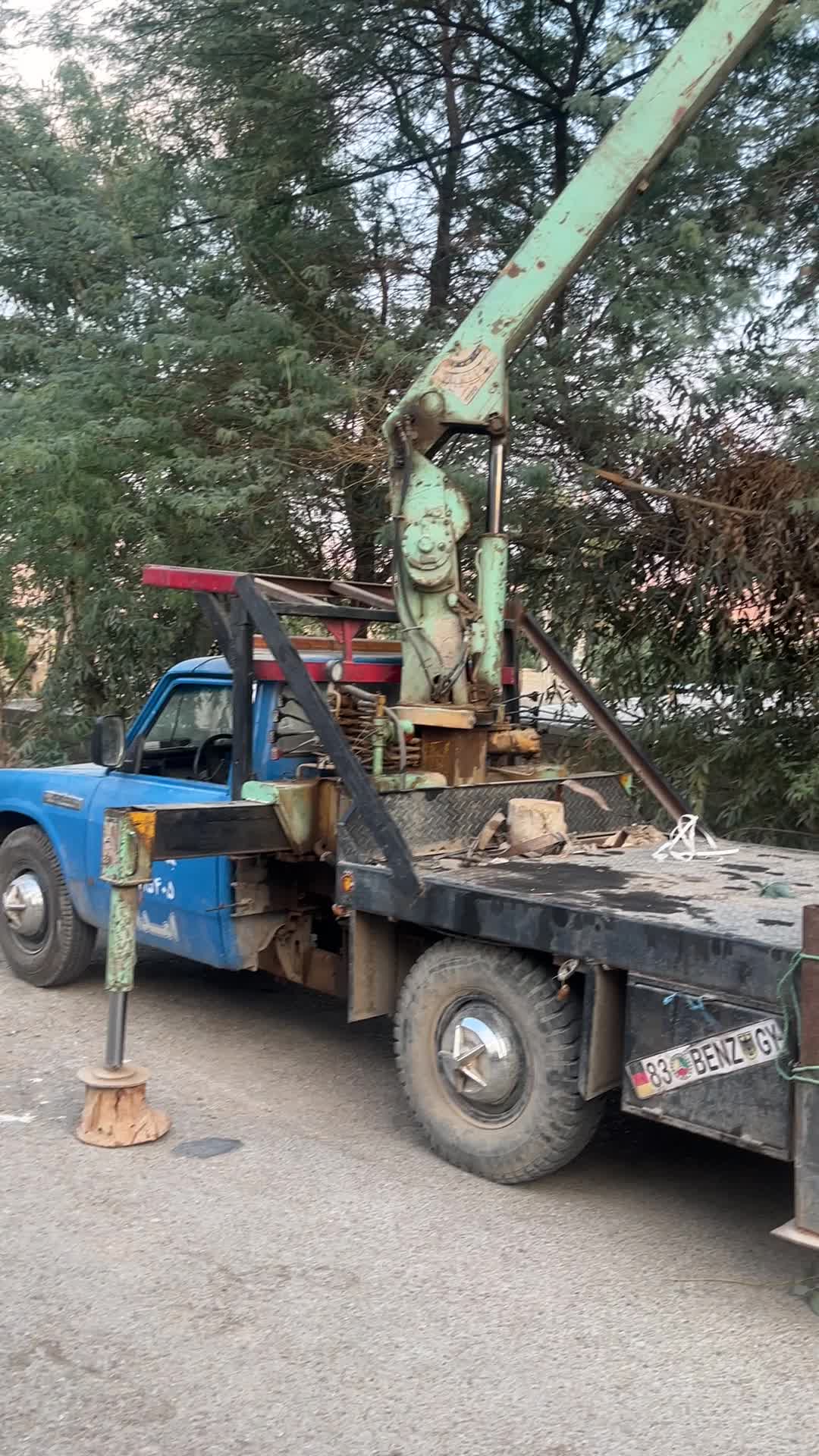 جرثقیل همراه با سبد بالابر|خودرو سنگین|مسجد سلیمان, |دیوار