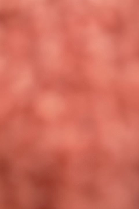 فروش ترازو 300کیلویی کمر چین|ماشین‌آلات صنعتی|مرند, |دیوار