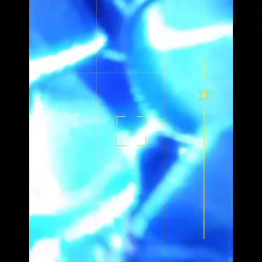 گل ربانی|گل مصنوعی|بهبهان, |دیوار