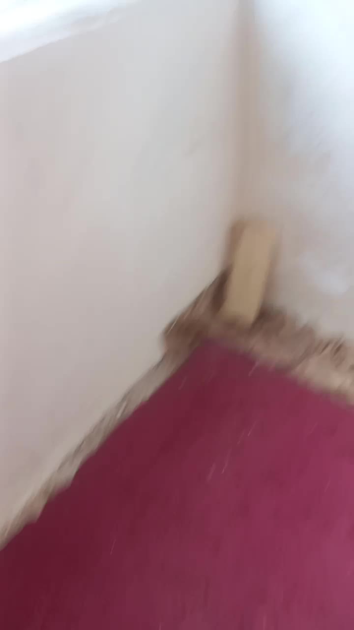 منزل|اجارهٔ آپارتمان|مشهد, رده|دیوار