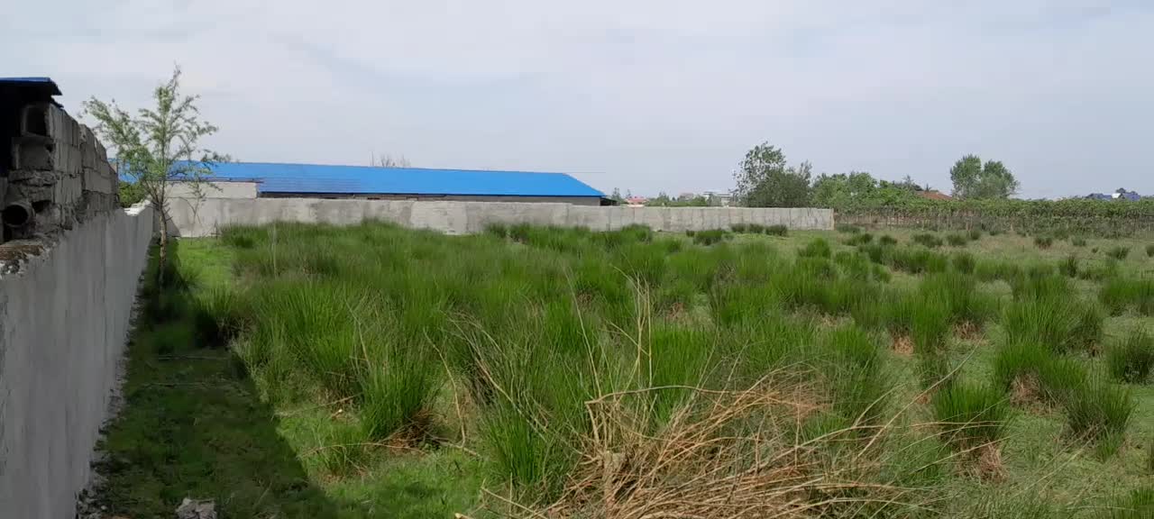 زمین در گیلان تالش هشتپر ۴۵۰۰متر حومه دریا|فروش زمین و ملک کلنگی|تالش, طولارود|دیوار