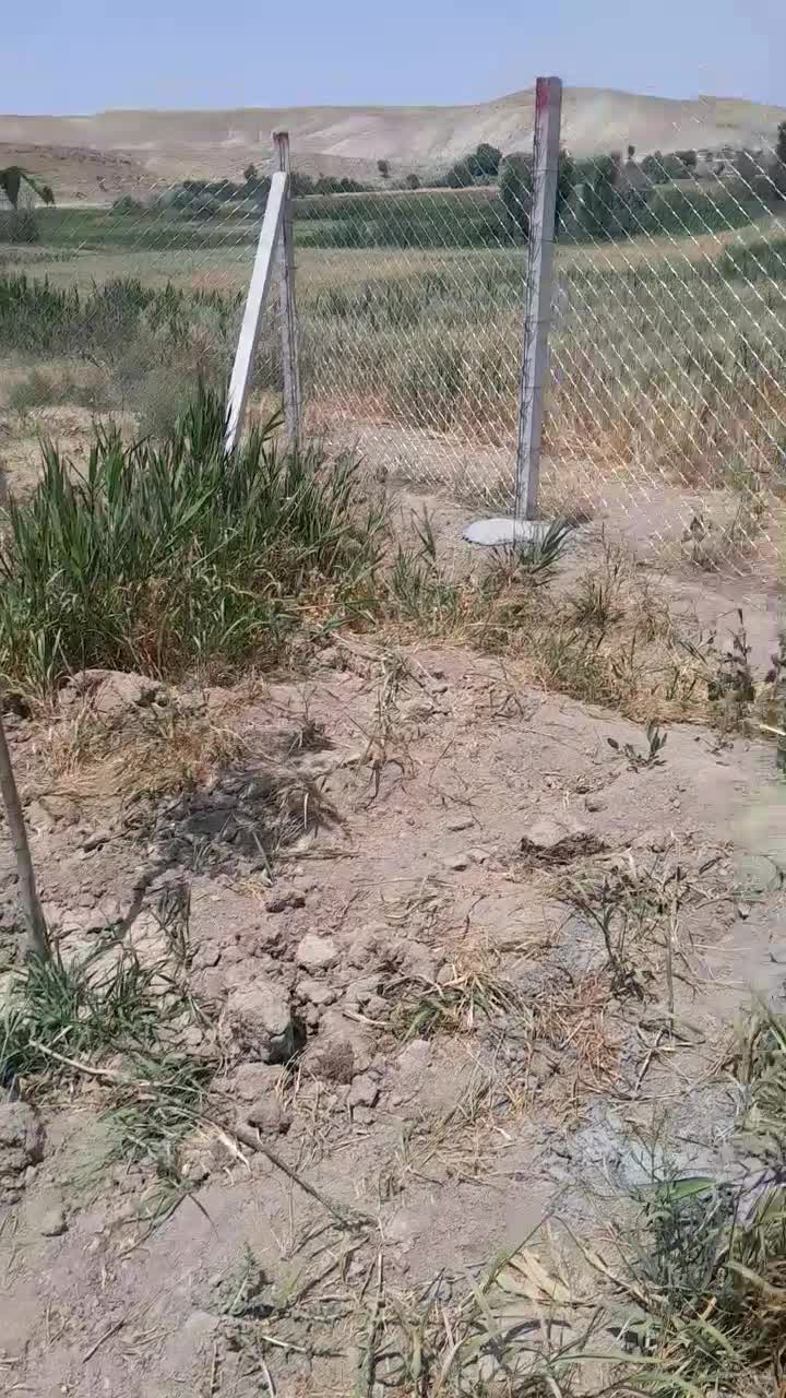 باغ|فروش دفتر صنعتی، کشاورزی، تجاری|تکاب, |دیوار