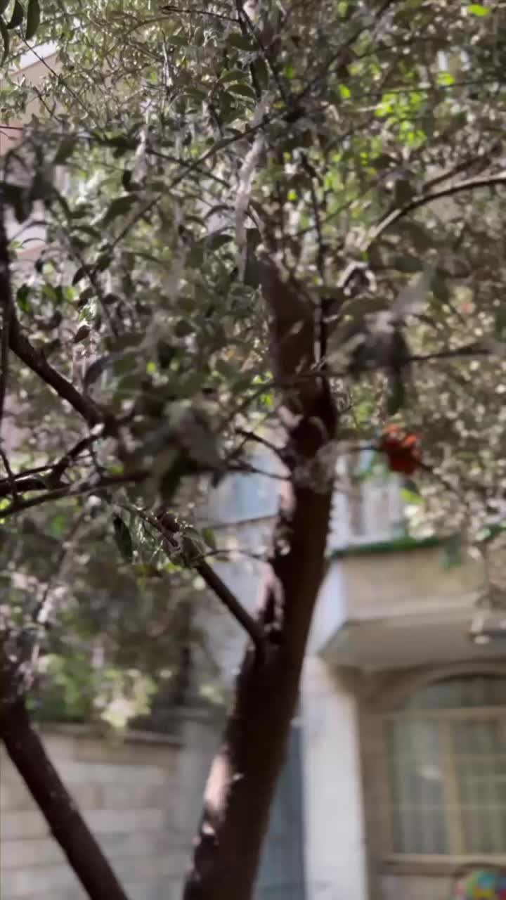 اجاره روزانه آپارتمان مبله شیک ترین غرب تهران|اجارهٔ کوتاه‌مدت آپارتمان و سوئیت|تهران, صادقیه|دیوار