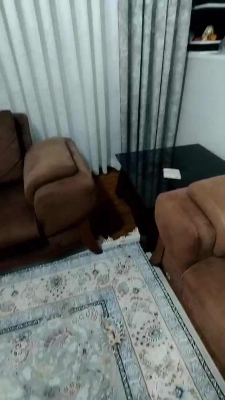 حراج پارچه های پرده ای و دستک های آماده|پرده، رانر، رومیزی|بجنورد, |دیوار