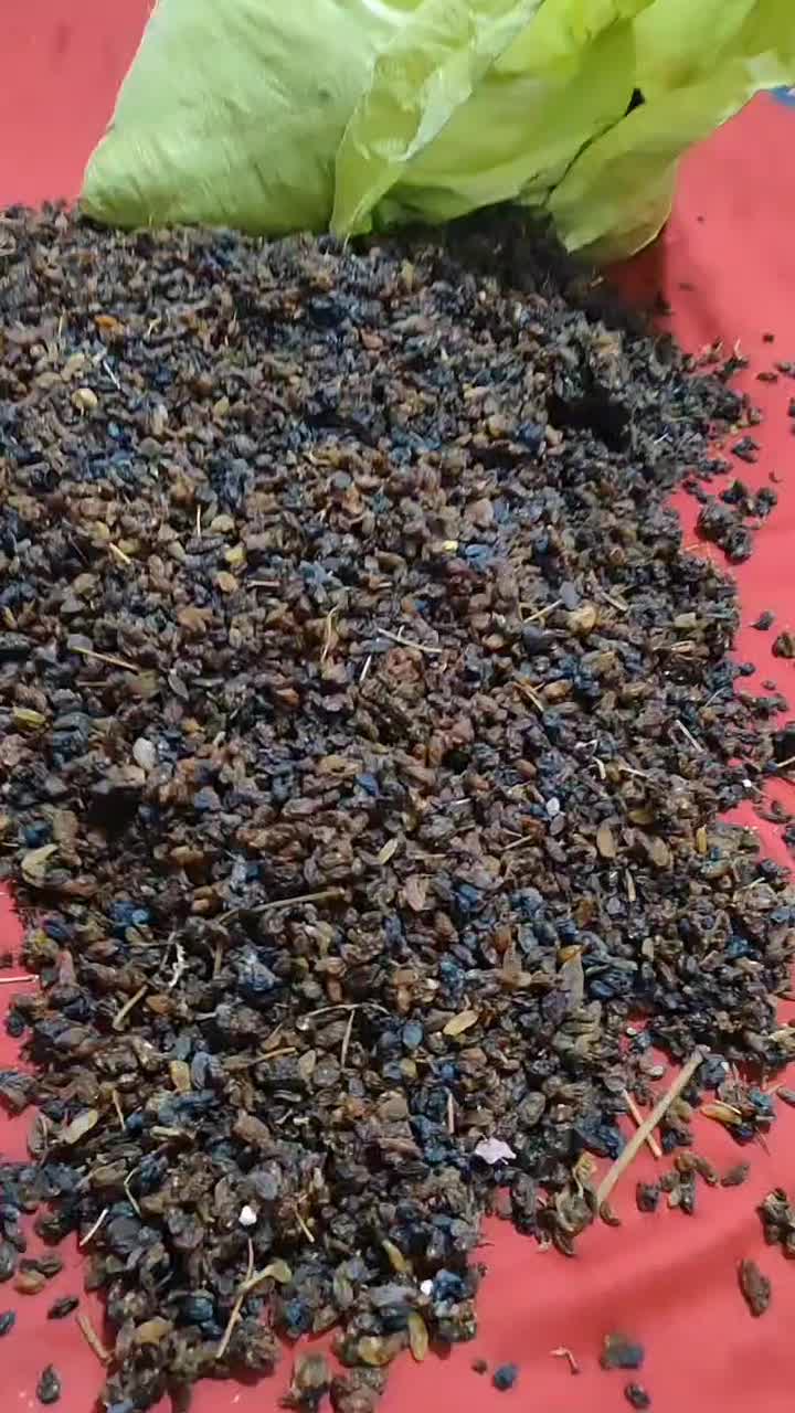 کشمش آفتابی|عمده‌فروشی|یزد, |دیوار