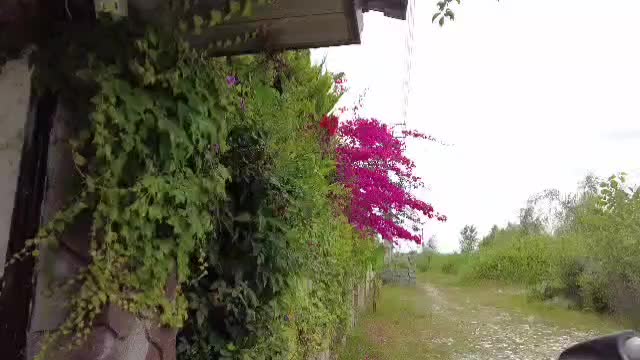 ویلا سه خوابه استخر سرپوشیده در محمودآباد|اجارهٔ کوتاه‌مدت ویلا و باغ|ایزدشهر, |دیوار