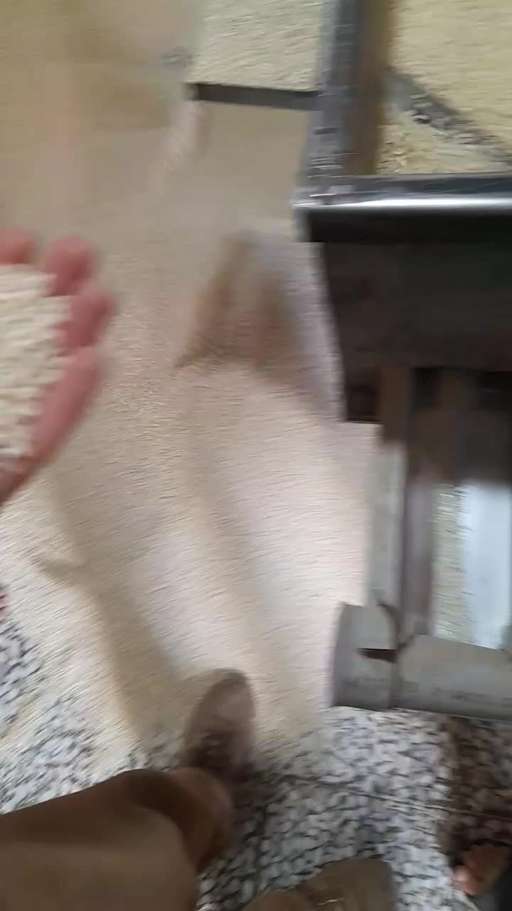 برنج گرده ماه نشان|عمدهفروشی|زنجانرود, |دیوار