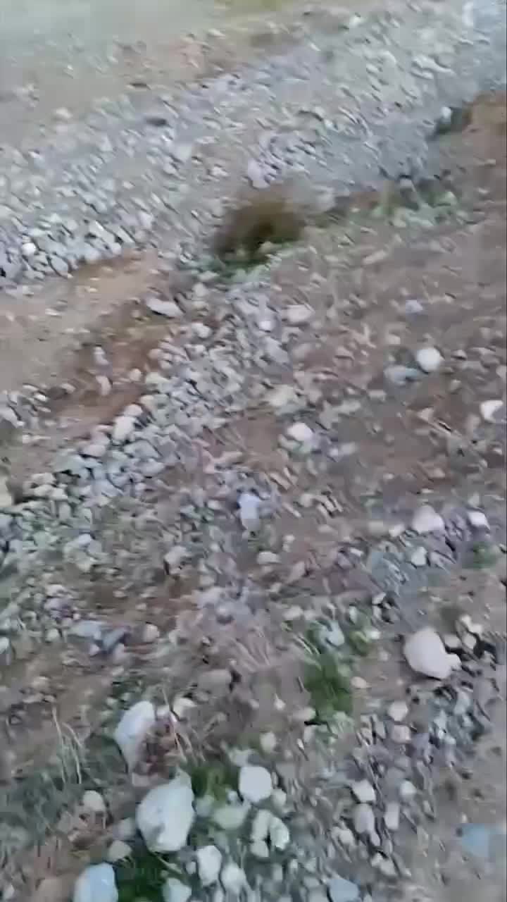 بیل بکهو آمیگ|خودرو سنگین|مشهد, درابد امام|دیوار