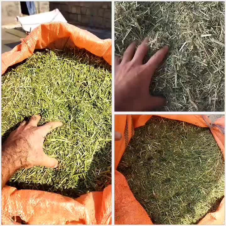 یونجه|خدمات باغبانی و درختکاری|مارگون, |دیوار