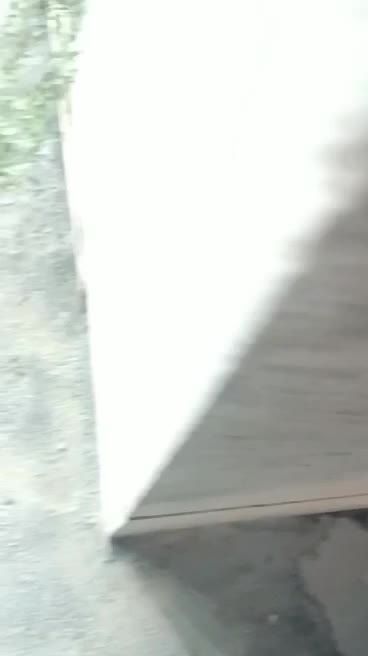 امداد برق همدان|خدمات پیشه و مهارت|همدان, |دیوار