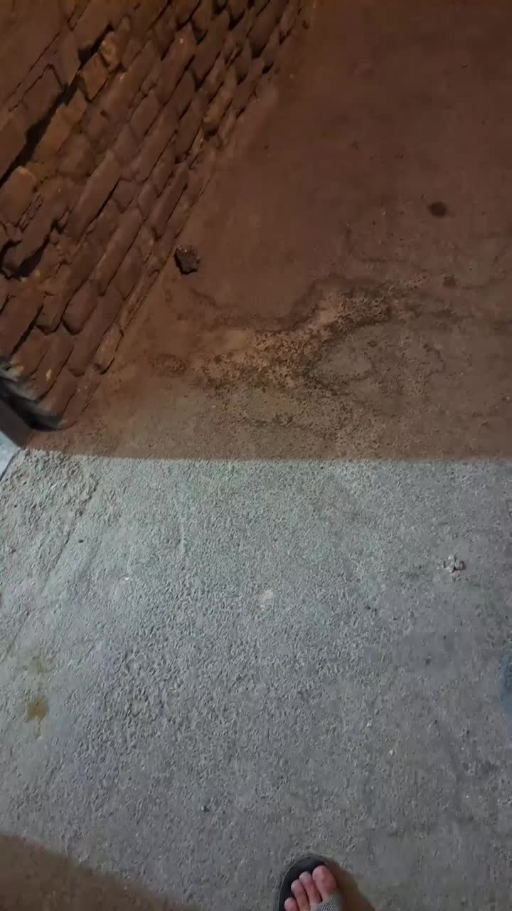 بادومیلیارد صاحب خانه دویست متری شوید|فروش خانه و ویلا|بافق, |دیوار