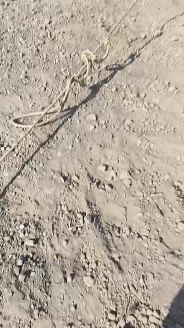 اسب|اسب و تجهیزات اسب‌سواری|مشهد, رسالت|دیوار