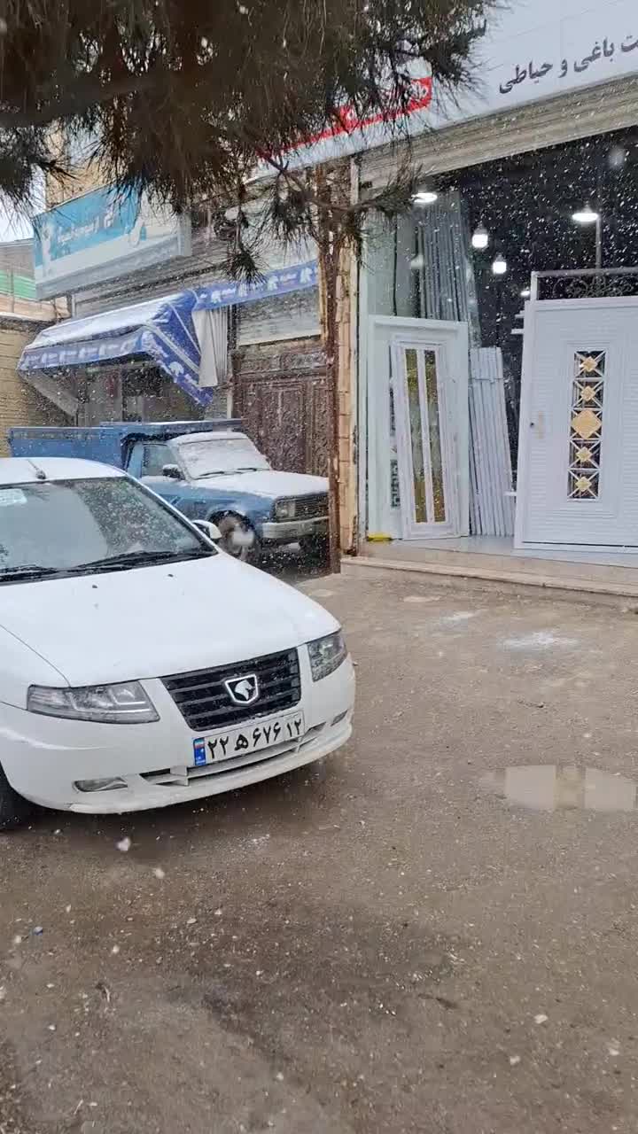 کد ۱۲۱۳درب فلزی پنچره نخلی حیاطی سنگین  در حیاط|مصالح و تجهیزات ساختمان|مشهد, طبرسی شمالی|دیوار