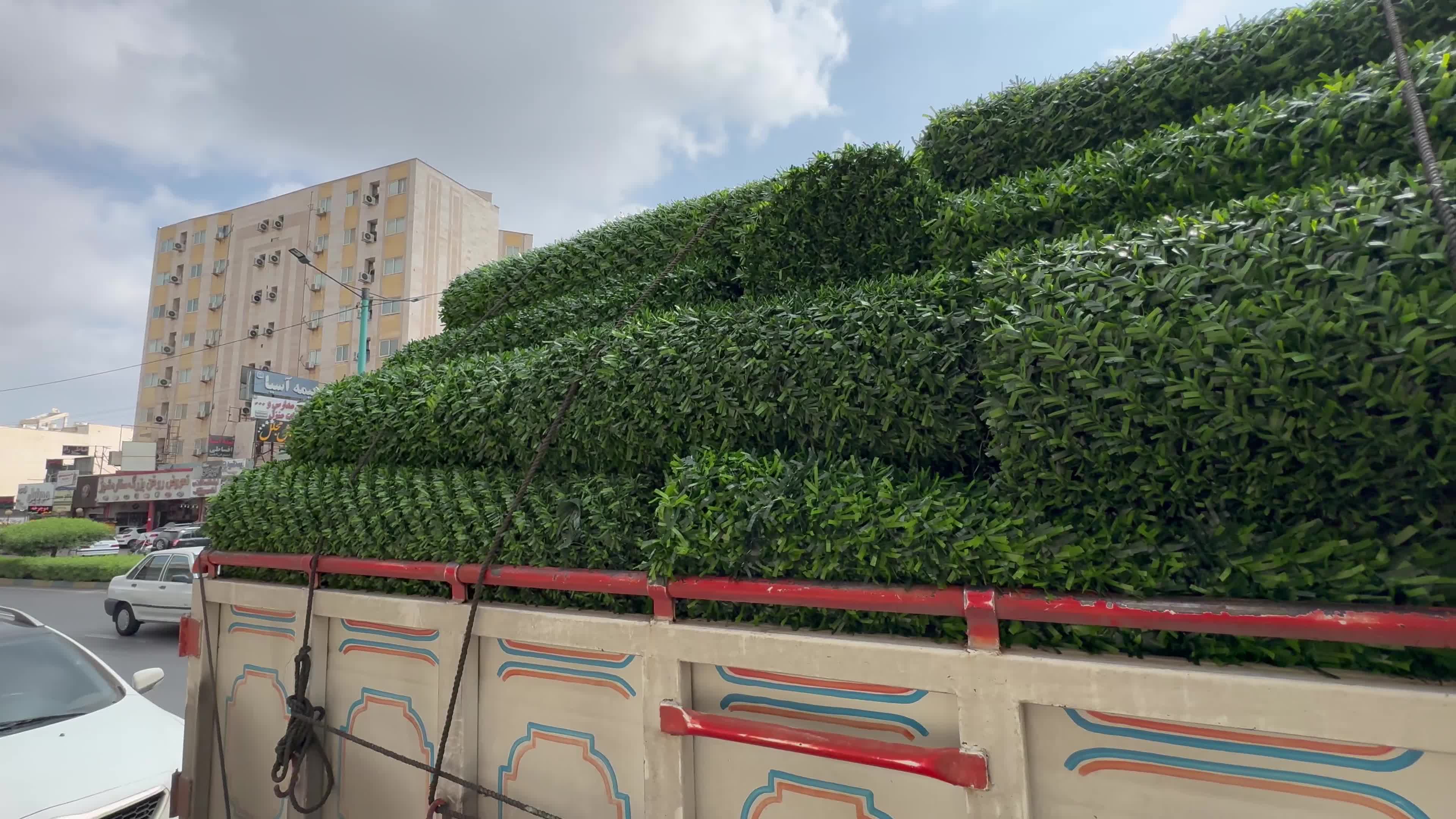 چمن مصنوعی.کارخانه دنیای چمن|مصالح و تجهیزات ساختمان|بندرعباس, |دیوار