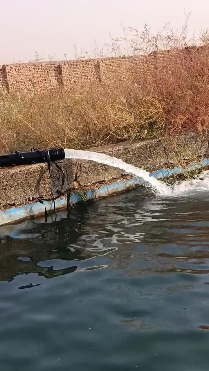 اجاره ۴۰ هکتار زمین کشاورزی برای کاشت کلم|اجارهٔ دفتر صنعتی، کشاورزی، تجاری|بشاریات, |دیوار