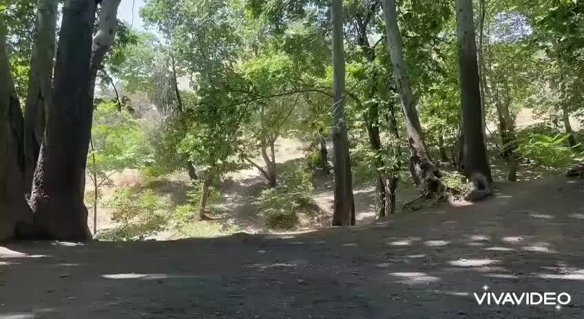 تارپ با لوازم|کوهنوردی و کمپینگ|تهران, امانیه|دیوار