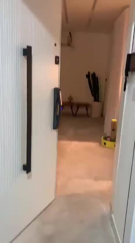 فروش واحد فوق لوکس|فروش آپارتمان|بوشهر, |دیوار