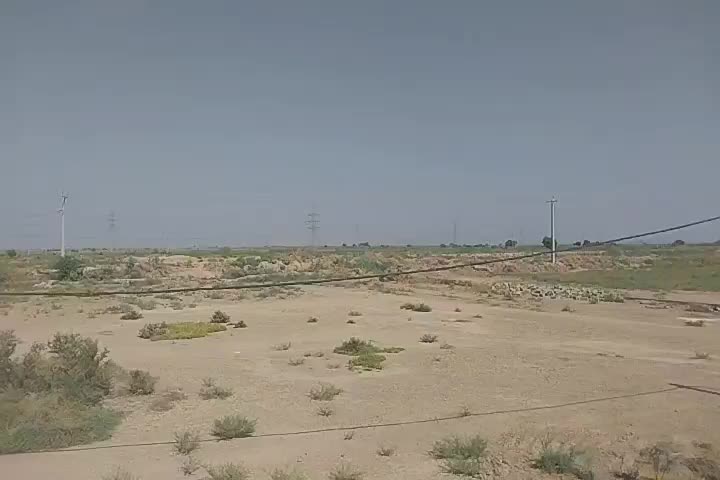 مشارکت تضمینی در زمینه  خرید شلتوک برنج|استخدام مالی، حسابداری، حقوقی|اهواز, اهواز|دیوار