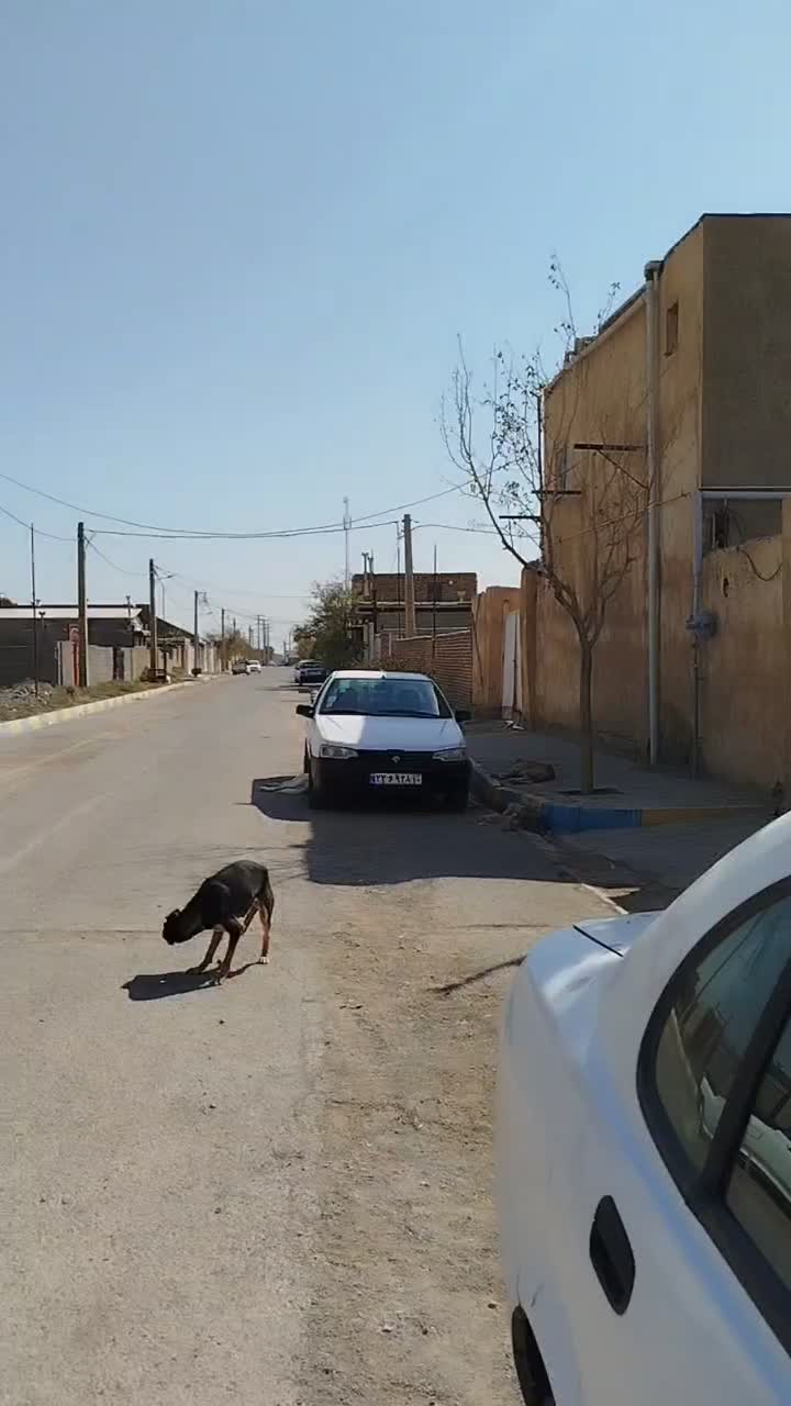 خانه 200 متری|فروش زمین و ملک کلنگی|پلنگ آباد, |دیوار