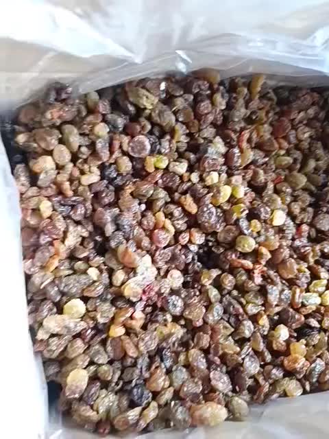 کشمش قنادی|خوردنی و آشامیدنی|ملایر, |دیوار