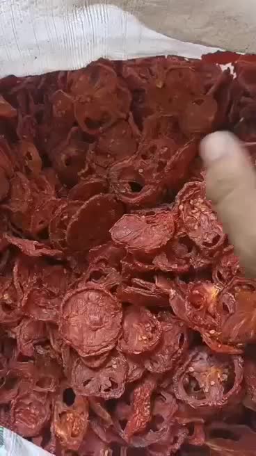 سیر اسلایس گوجه خشک پیاز خشک پاپریکا پودر سیر|خوردنی و آشامیدنی|تهران, آجودانیه|دیوار