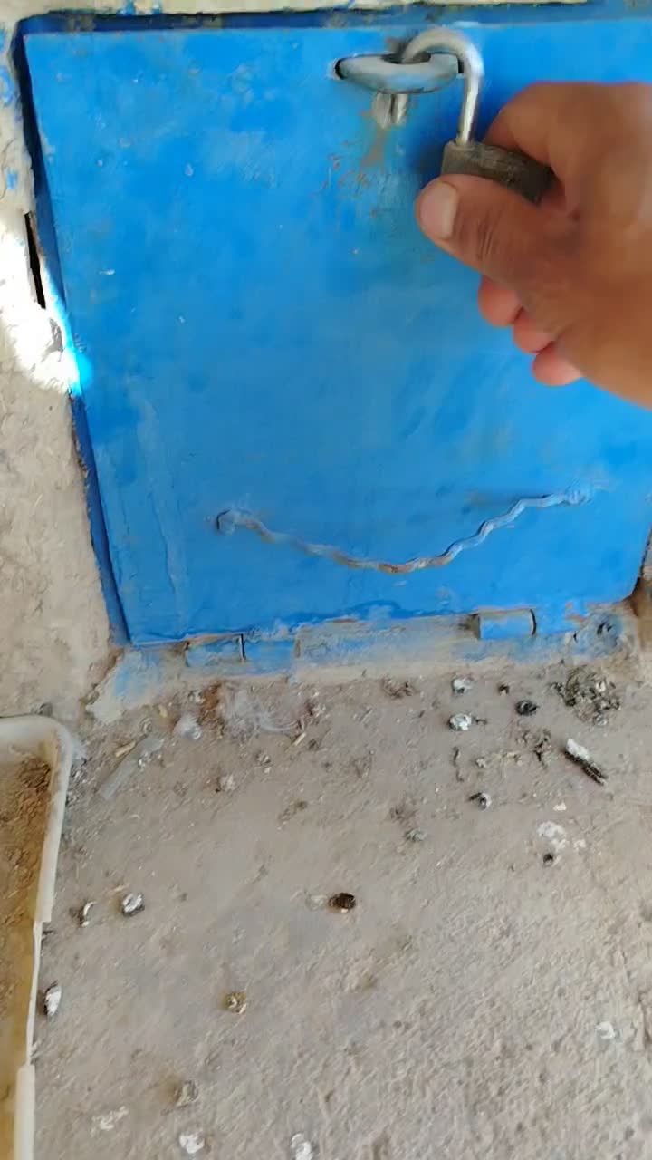 نرا ماده زره دمگیر بدرنگ|پرنده|خمینیشهر, |دیوار