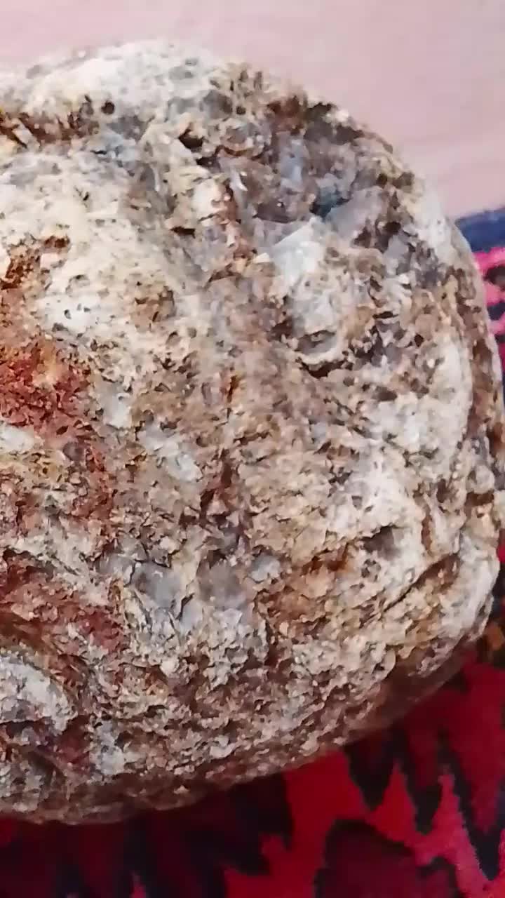 سنگ شجر|کلکسیون اشیاء عتیقه|اهر, |دیوار