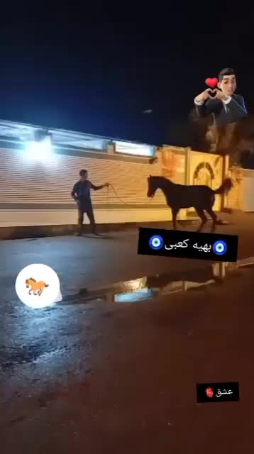 اسب|اسب و تجهیزات اسبسواری|شوش, |دیوار