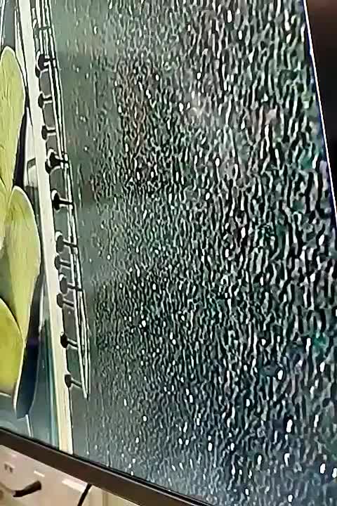 ایونت مافیا|گردهمایی و همایش|قم, آزادگان|دیوار