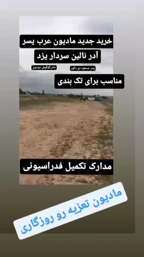 مادیون عرب یسر مدارک دار تعزیه رو|اسب و تجهیزات اسب‌سواری|پیشوا, |دیوار