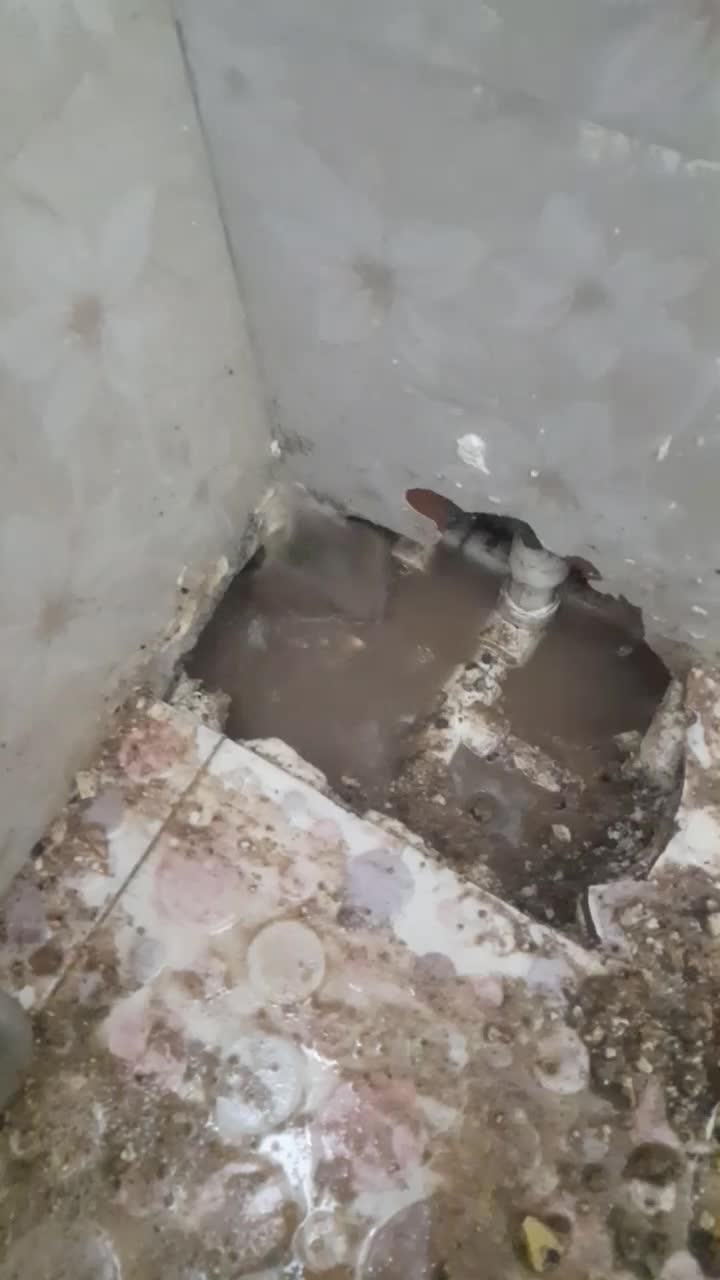 خدمات نشت یابی اب و فاضلاب لوله کشی کاشی کاری فوری|خدمات پیشه و مهارت|شاهین‌شهر, فردوسی|دیوار