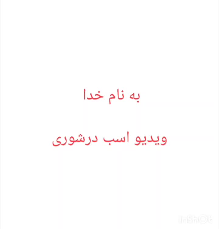 اسب درشوری|حیوانات مزرعه|کاکی, |دیوار