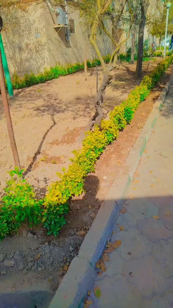 خدمات باغبانی سیار گل کاری سم پاشی تعویض خاک گلدان|خدمات باغبانی و درختکاری|تهران, شهرک غرب|دیوار