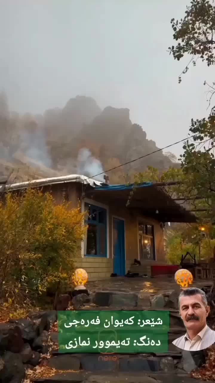 شهاب سنگ وسنگهای کلکسیونی|کلکسیون اشیاء عتیقه|سنندج, |دیوار