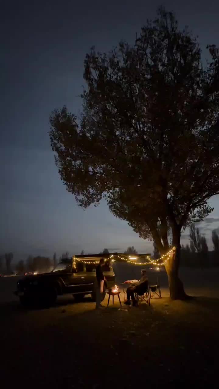 تویوتا فرماندهی|خودرو سواری و وانت|شاهین دژ, |دیوار