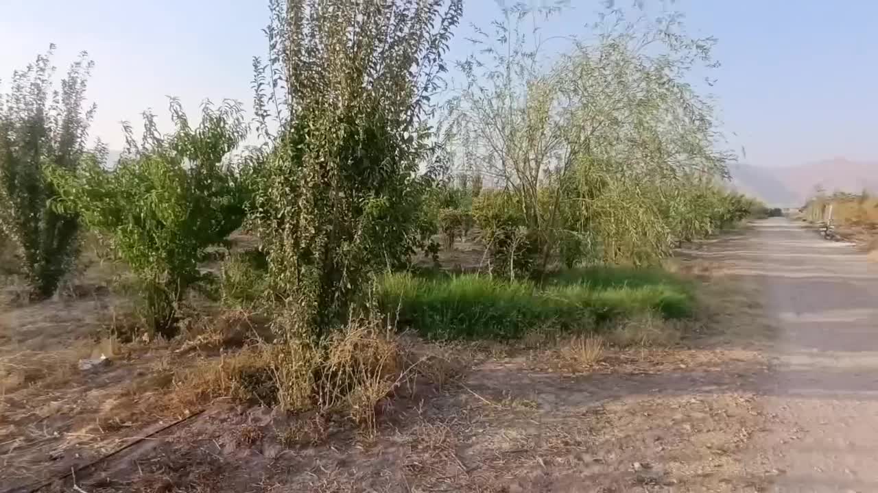 1250متر باغ شهری حسن آباد سنجرلو داخل مجموعه|فروش زمین و ملک کلنگی|مرودشت, ثبت احوال|دیوار