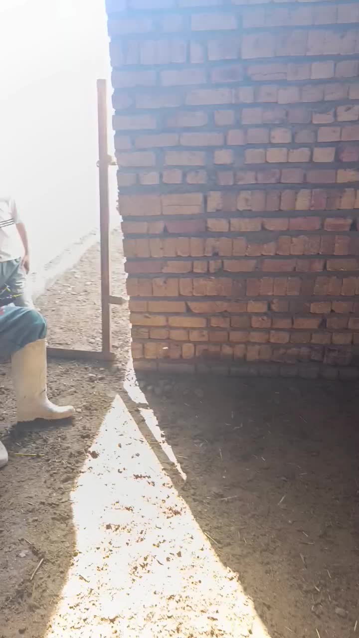 دیشـنری گوسفندbotre بره|خدمات آموزشی|بردسیر, |دیوار