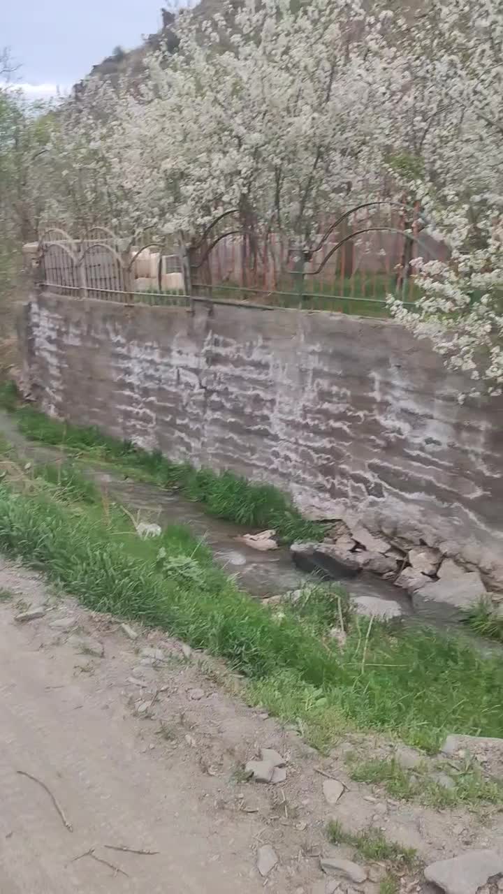 اجاره روزانه/هفتگی/ماهانه ویلا ۱۲۰۰ متری در تلگرد|اجارهٔ کوتاه‌مدت ویلا و باغ|مشهد, تلگرد|دیوار