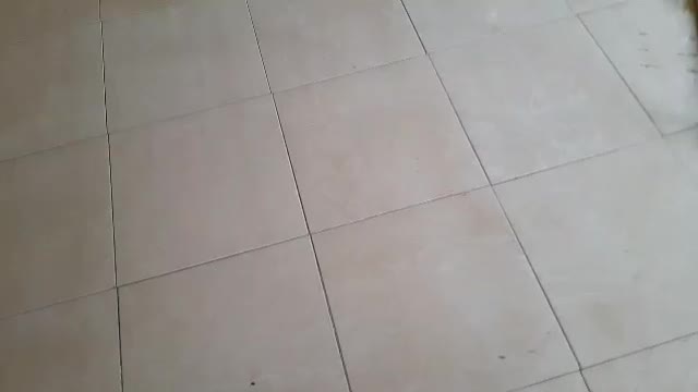 اجاره مغازه ۶۰ متری|اجارهٔ مغازه و غرفه|اصفهان, برزان|دیوار