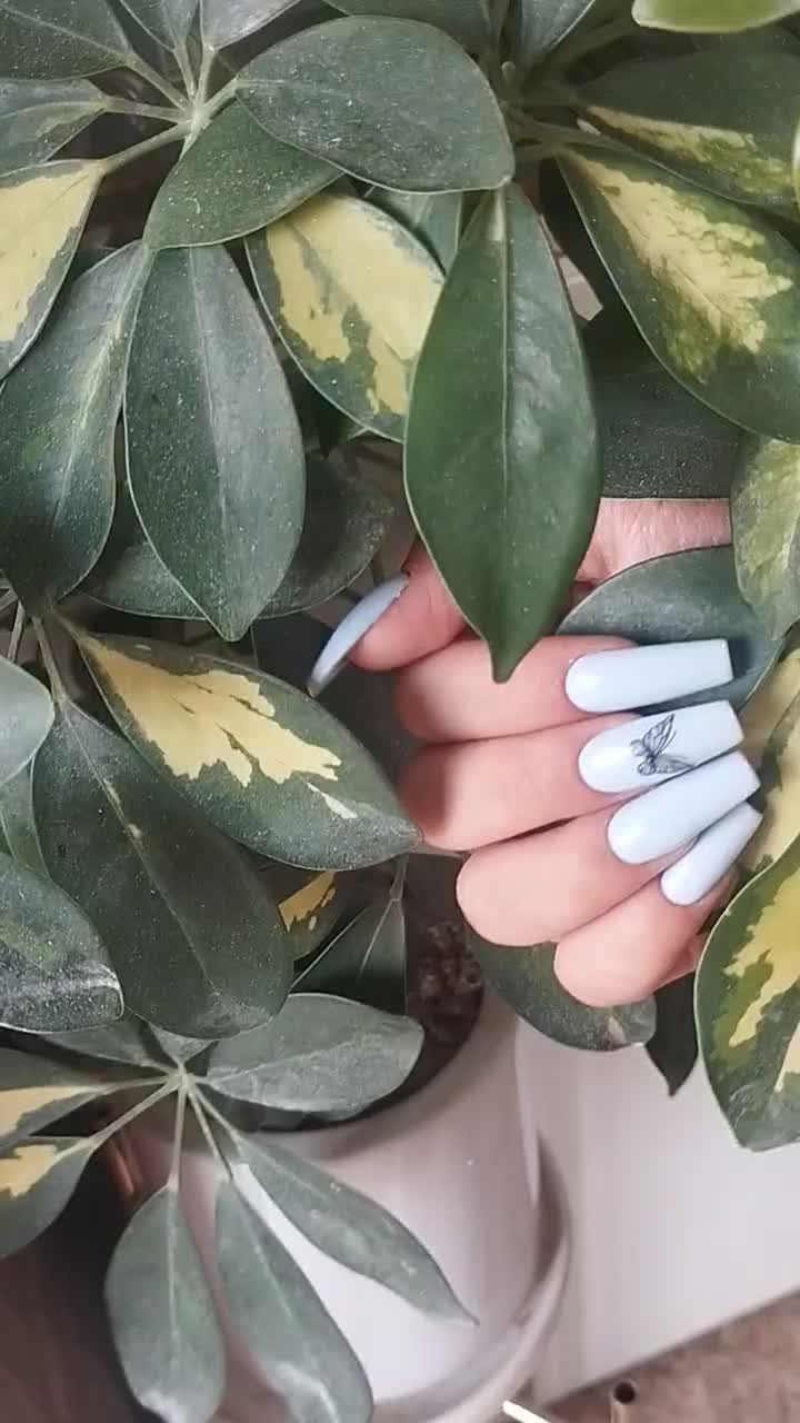 تخفیف پاییزی کاشت ناخن نوبهار|خدمات آرایشگری و زیبایی|کرمانشاه, |دیوار