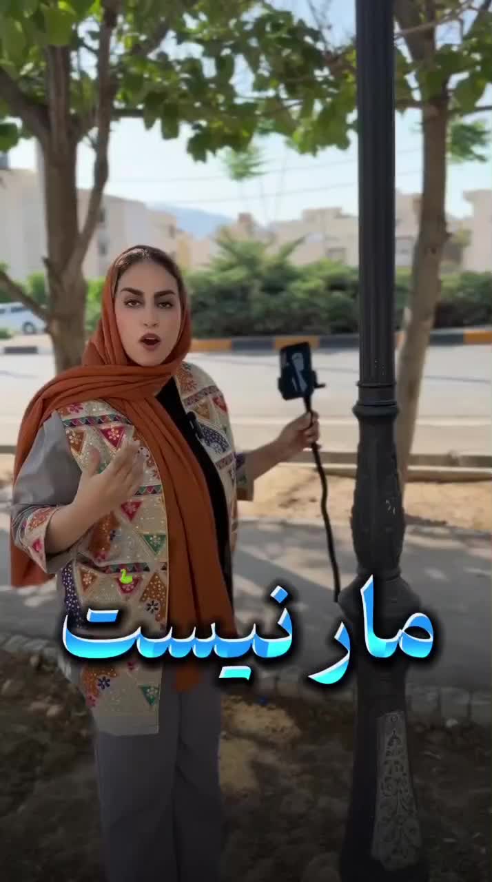 پایه نگهدارنده انعطافی برا گوشی و دوربین|لوازم جانبی موبایل و تبلت|تهران, استاد معین|دیوار