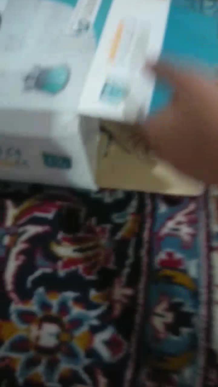 گربه نژاد پرشین. DSH پنج ماهه نر|گربه|محمودآباد, |دیوار