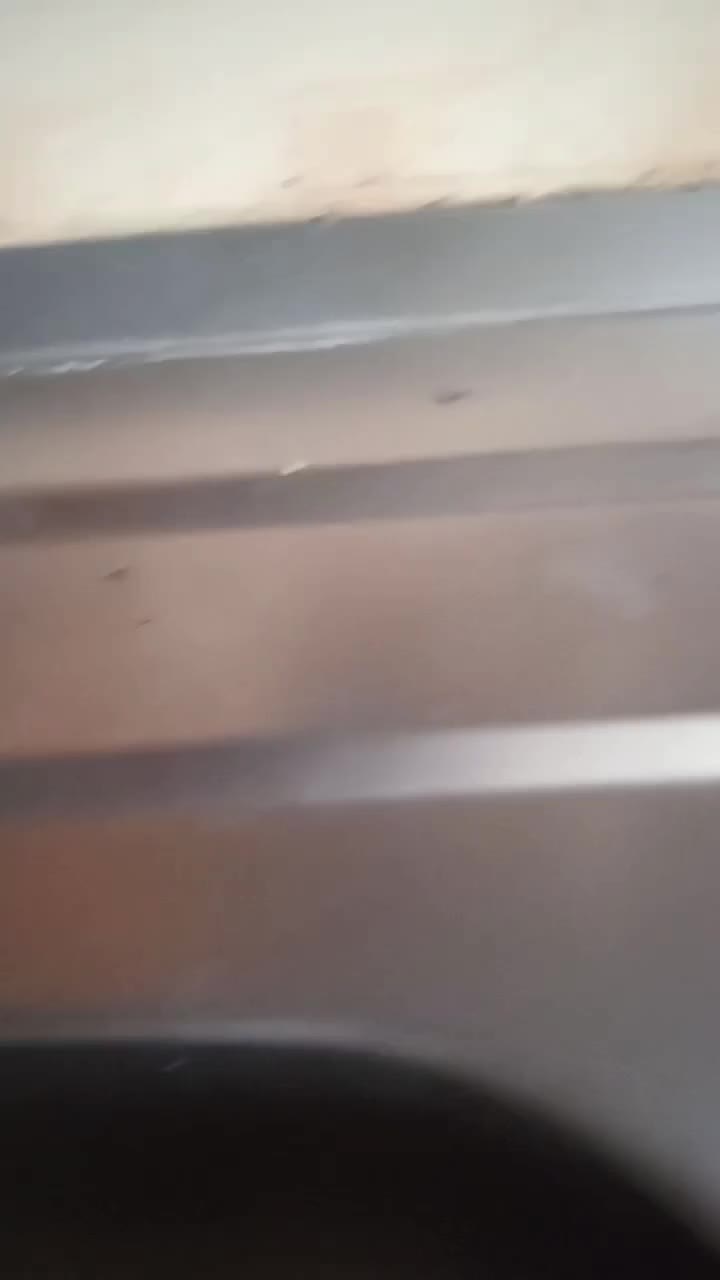 پودر سوسک تضمینی تضمینی تضمینی پیشوا|لوازم نظافت|پیشوا, |دیوار