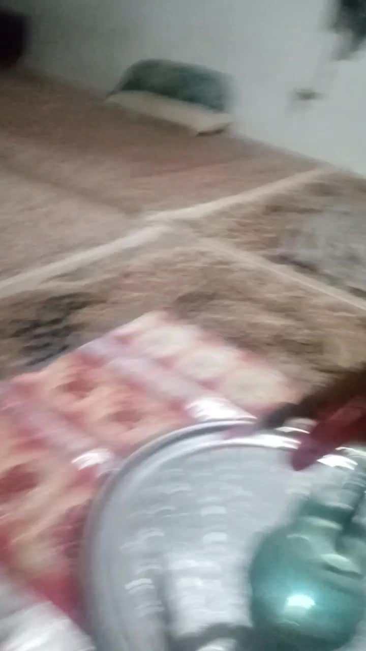 سهره مست مست بخوان دهن مجلسی|پرنده|صحنه, |دیوار