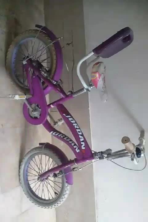 هیچی ندارد|دوچرخه، اسکیت، اسکوتر|اراک, |دیوار