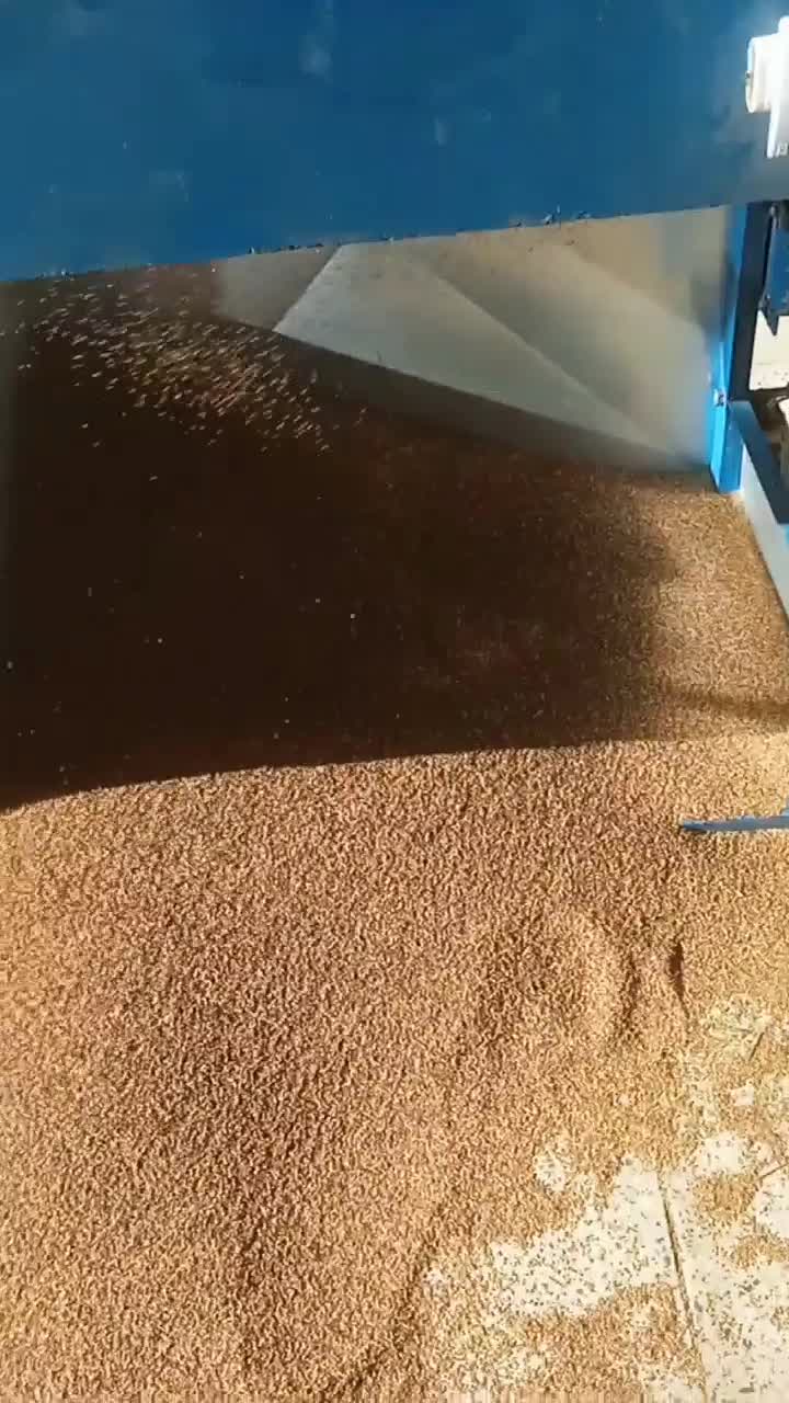 بوجاری کنجد|خدمات باغبانی و درختکاری|راهگان, |دیوار