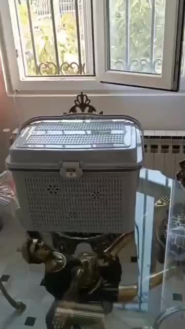 ظروف ۹۰پارچه فقط 1950هزارتومان|ظروف نگهدارنده، پلاستیکی، یکبارمصرف|دهدشت, |دیوار