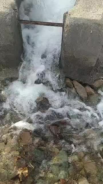 ملک کشاورزی .چاه دربست . و باغ پسته|فروش دفتر صنعتی، کشاورزی، تجاری|ساوه, |دیوار