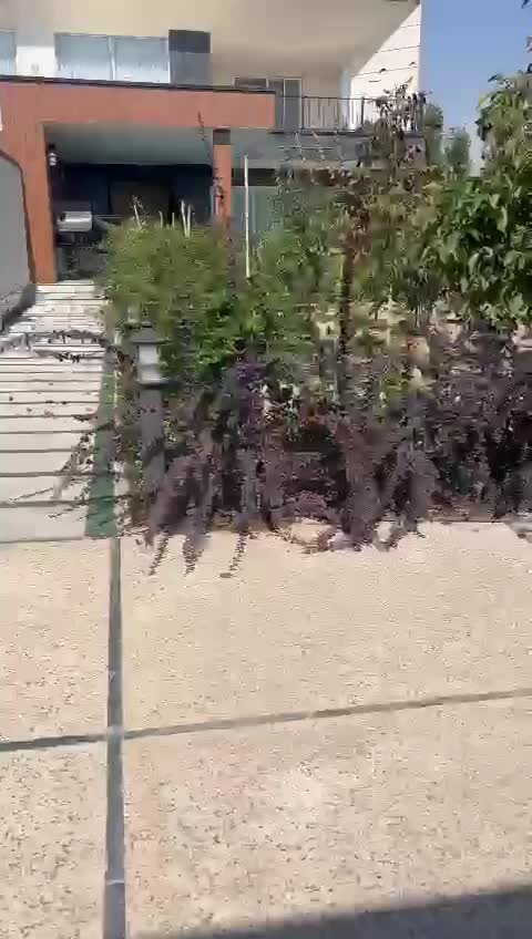 اجاره سالیانه ویلا لوکس مدرن ۴ خواب|اجارهٔ خانه و ویلا|چهارباغ, |دیوار